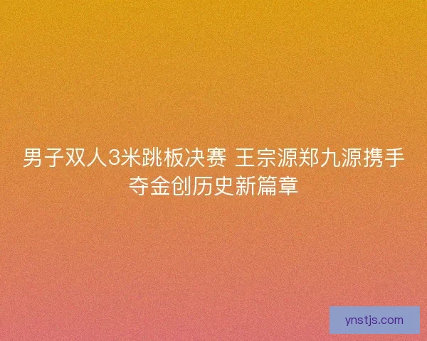 男子双人3米跳板决赛 王宗源郑九源携手夺金创历史新篇章